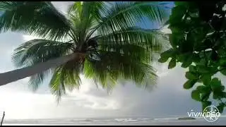 Beuty of Nature