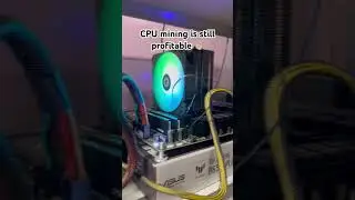 CPU #crypto mining in 2024.