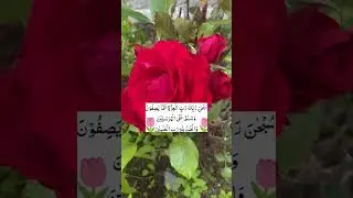 #darood#shortfeed #youtubeshort # بہت پیاری دعا #dua