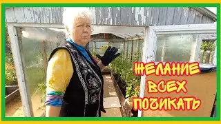 21/8 24 САМЫЙ КАЙФ. ЖАДНОСТЬ ФРАЕРА СГУБИЛА. ЧЕШУСЬ, КАК БЛОХАСТАЯ СОБАКА. ХОТЕЛОСЬ ПОШИРЕ.