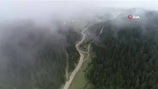 Hırsızlar 300 haneli yaylanın iletişimini kestiler