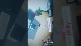 hello this is my first ever video so yeah