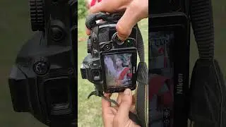 outdoor photoshoot with Nikon #youtubeshorts  #shorts #trending #photography
