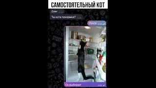 Щас бы тоже🍩🍔 