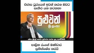 එජාප ධූරයෙන් ඉවත් කරන බවට පැතිර යන කටකතා පාලිත රංගේ බණ්ඩාර ප්‍රතික්ෂේප කරයි