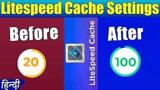 LiteSpeed Cache: How to Get 100% WordPress Optimization | LiteSpeed Cache setting 2022