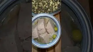 Merrick colossal chicken dinner dog food cans