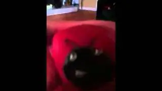 All-nighter and niki niki 9 door