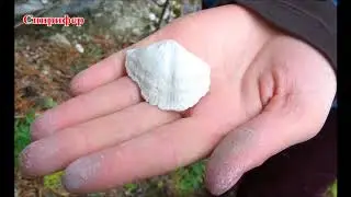 Река Дёржа 08 10 2017