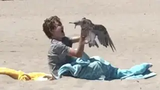 I caught a seagull with my bare hands