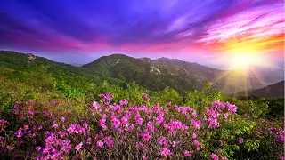 Nature for the Soul | Ambient Relax Music. Relax 5 minutes