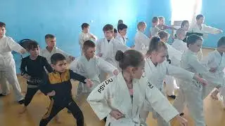 Фестиваль дитячої майстерності з Карате-до, ,, Юний самурай,,