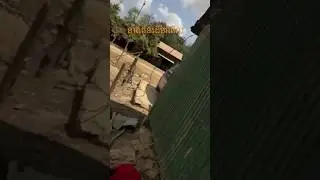 នាងពួនដើមអំពិល