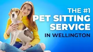 Pet Sitting in Wellington Colorado |  (970) 980-1325