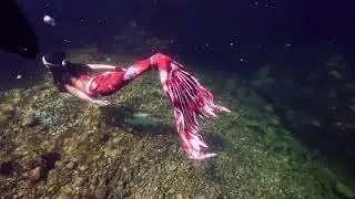 綠島 翠湖 美人魚 / Mermaids swimming in tide pool