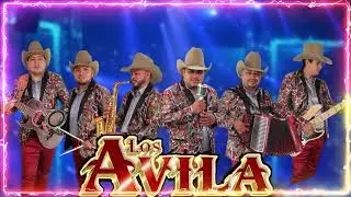 Los Avila Huapangos - Puros Huapangos Para Bailar