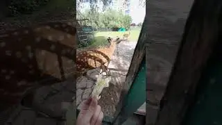 Кулинарный лайфхак уровень 10000