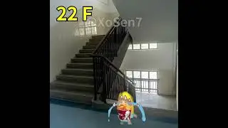 BANANA CAT 🍌🐱 BABY DELIVER FOOD AND CLIMB 22 FLIGHT OF STAIRS 