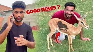 GOOD NEWS😍New Hiran Bacha Deny Wali hai Sabtain Ko Call Agai