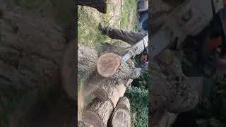 MTZ 820 homlokrakodóval stihl ms 661.💪🇩🇪💪