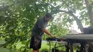 Lantana propagation easy