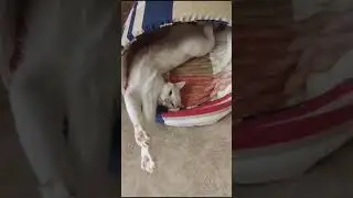 Спокойной ночи.
