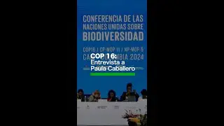COP16: “Lo que hagamos para proteger la biodiversidad va a redundar en temas de cambio climático”