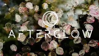 Fehrplay - Kiki