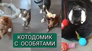 Дом инвалидов