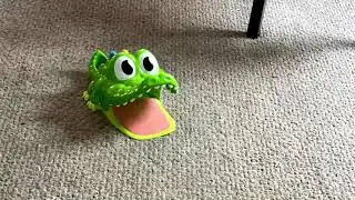 Playing Gator Golf with Teens