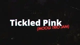 Tickled Pink (Moog Trio Jam)