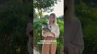 Семейный набор doTERRA – 10 врачей в одной коробочке 