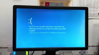 Masha And The Bear Anomaly has BSOD (Part 2)