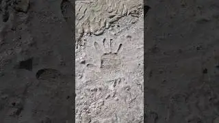 Почти асмр #бетон #строимсами #заливаембетон #бетонсвоимируками #дача #строительство