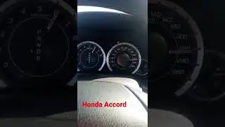 Honda Accrod #accord