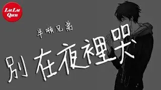 抖音《別在夜裡哭》半噸兄弟【動態歌詞Lyrics】