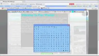 Webmanager Text Editor - how to edit text on your web page