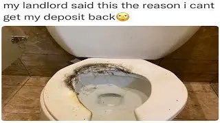 These Memes Should Make You Chuckle