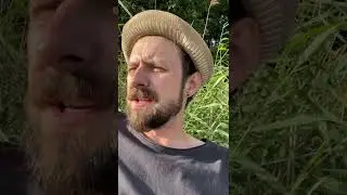 Juicy Fields - 27.07.2022 - Bekanntmachung