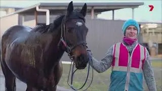 2024 SEVEN Horse Racing MRC MEMSIE STAKES Pride Of Jenni