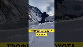 Трофейная охота 