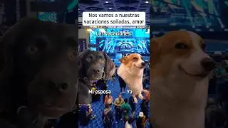 Vacaciones soñadas 😜🏖✈️ 