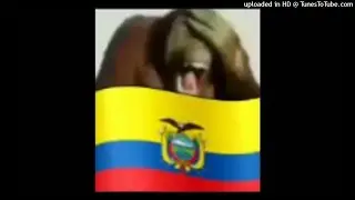 bxmbardeen ecuador