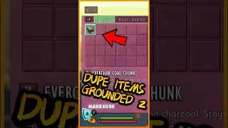 Grounded 2 Duplicate items!