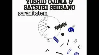 Visible Cloaks, Yoshio Ojima & Satsuki Shibano 