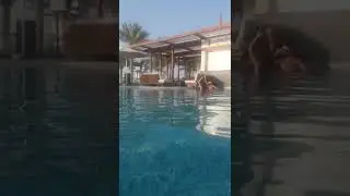 диско на воде. бассейн.  бар. алкоголь. dj. Emirates интерконтинеталь 5 звез рас эль хайма 4.10.2022