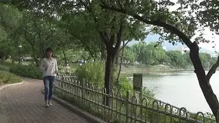 혜미 - 어느 여인에게 (원곡: 김상진) 뮤직영상 * Live *