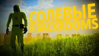 Солевые в Backrooms