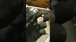 You needed this!Washer dryer combo not drying clothes home fix/Samsung H2E and TE error code repaue