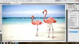 How To Make Photos Look Professional in Adobe Photoshop CS 5